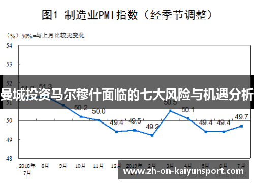 曼城投资马尔穆什面临的七大风险与机遇分析