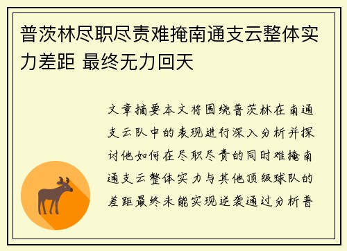 普茨林尽职尽责难掩南通支云整体实力差距 最终无力回天